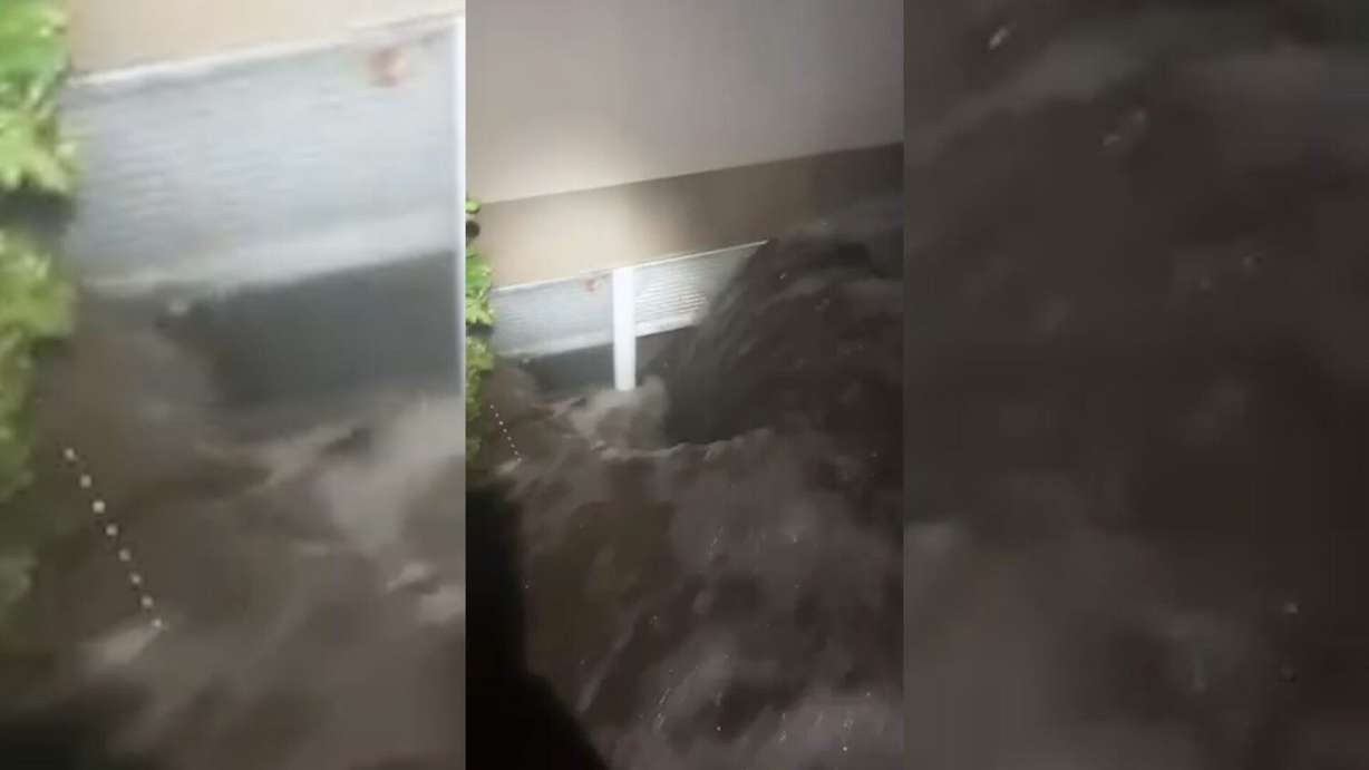 Water, mud, and debris poured into the home owned by Travisse and Stephanie Hansen on Aug. 27. The renters who live there first alerted them to the flooding.