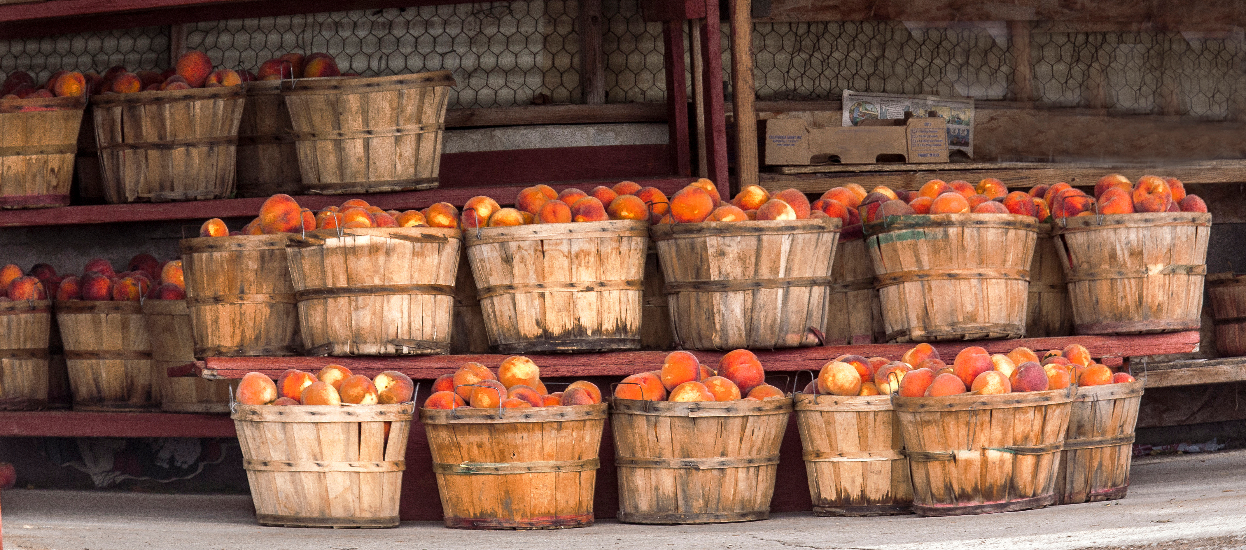 7 reasons Utah's fresh peaches might be the best in the nation