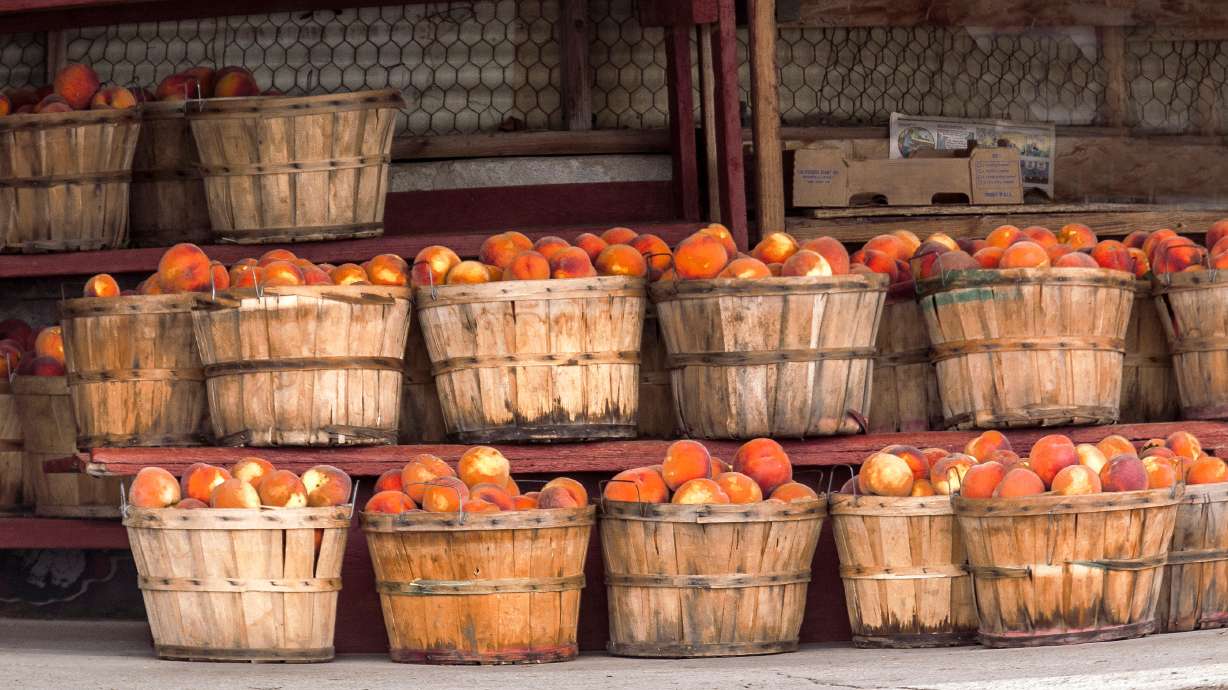 7 reasons Utah's fresh peaches might be the best in the nation