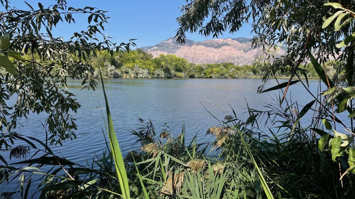 Some are calling for more public access to Goode Lake, also known as 21st Street Pond, in Ogden, pictured Aug. 31. A water ski maker has a concession with Ogden that largely gives it control of the city-owned lake.