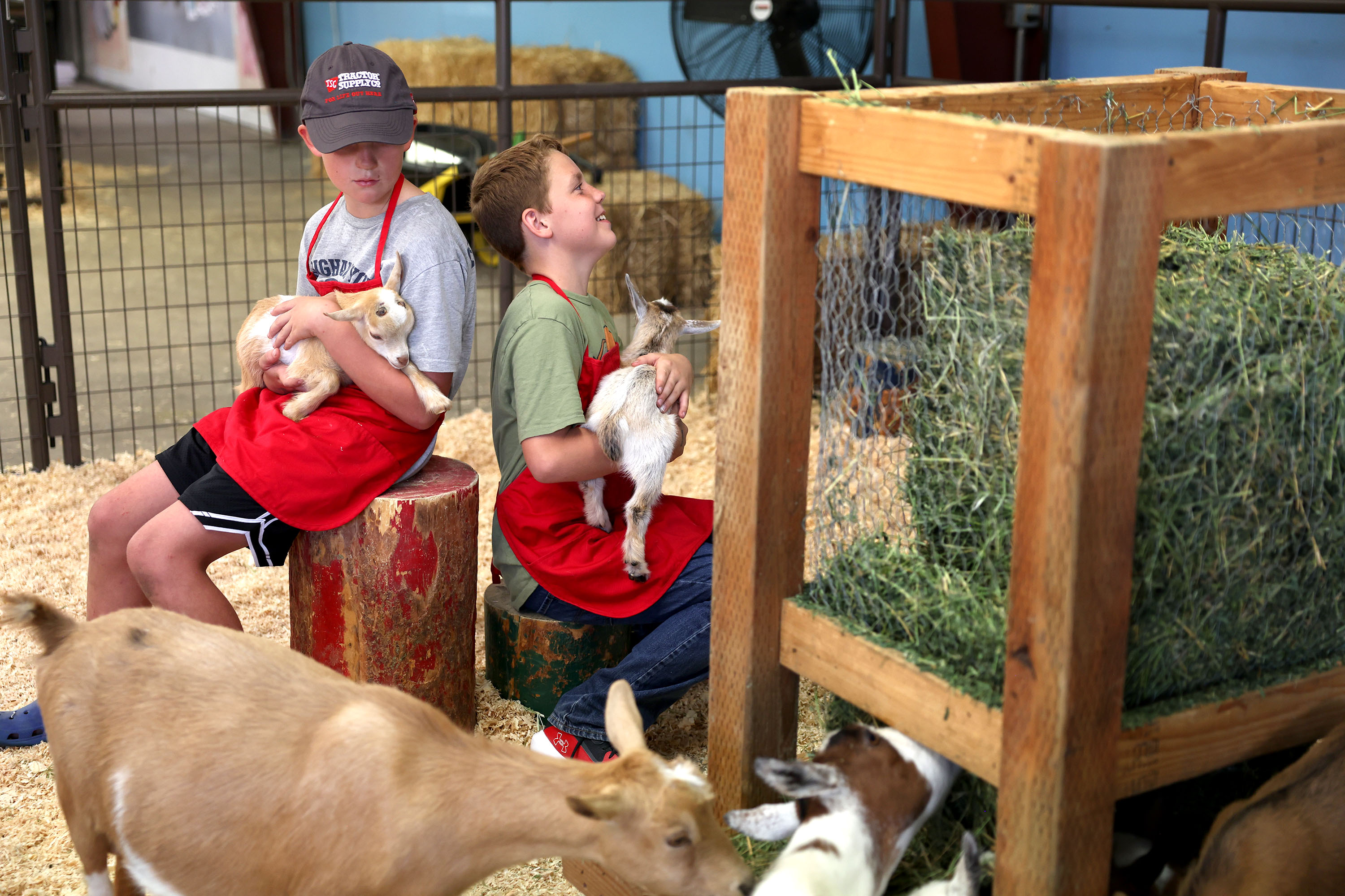 Ezra Draper and Paxton Warnick hold Nigerian goats during the first day of the Utah State Fair at the Utah State Fairpark in Salt Lake City on Thursday.