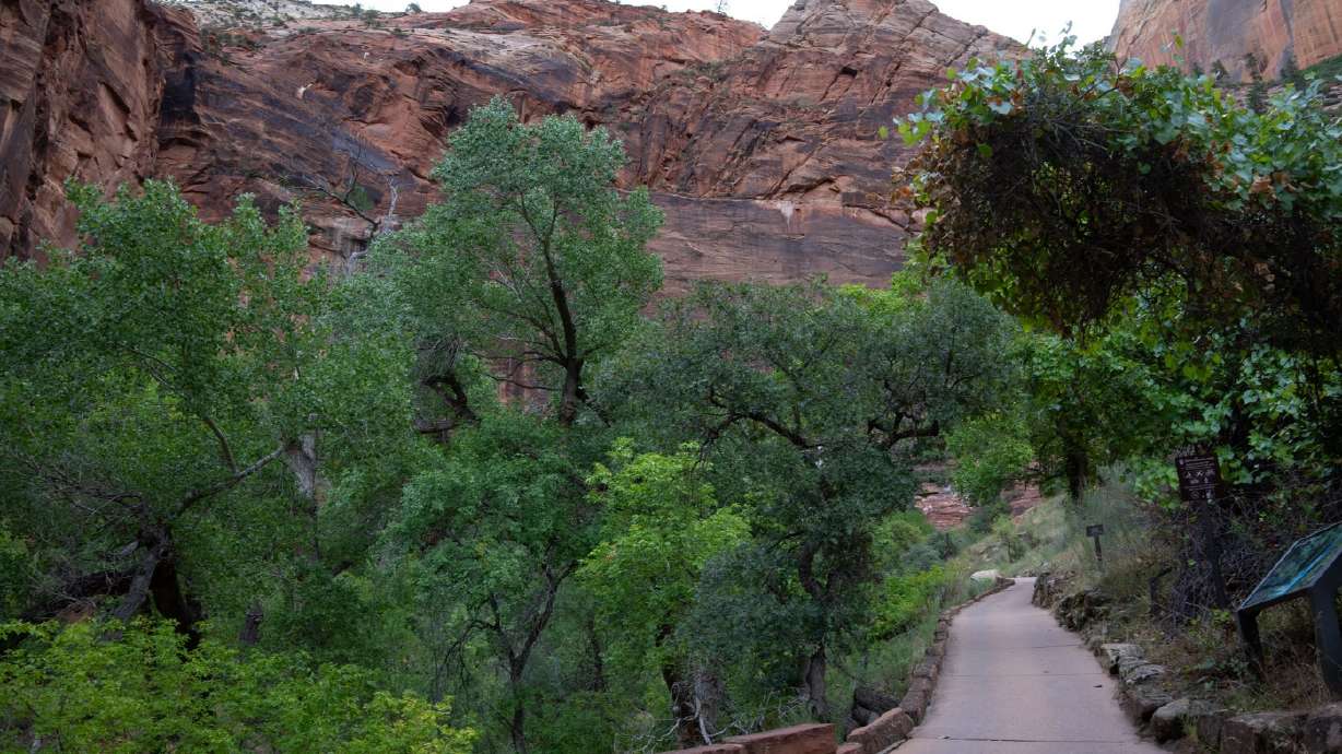 The Weeping Rock Trail at Zion National Park reopened on Friday for the first time since a rockfall in November 2023.