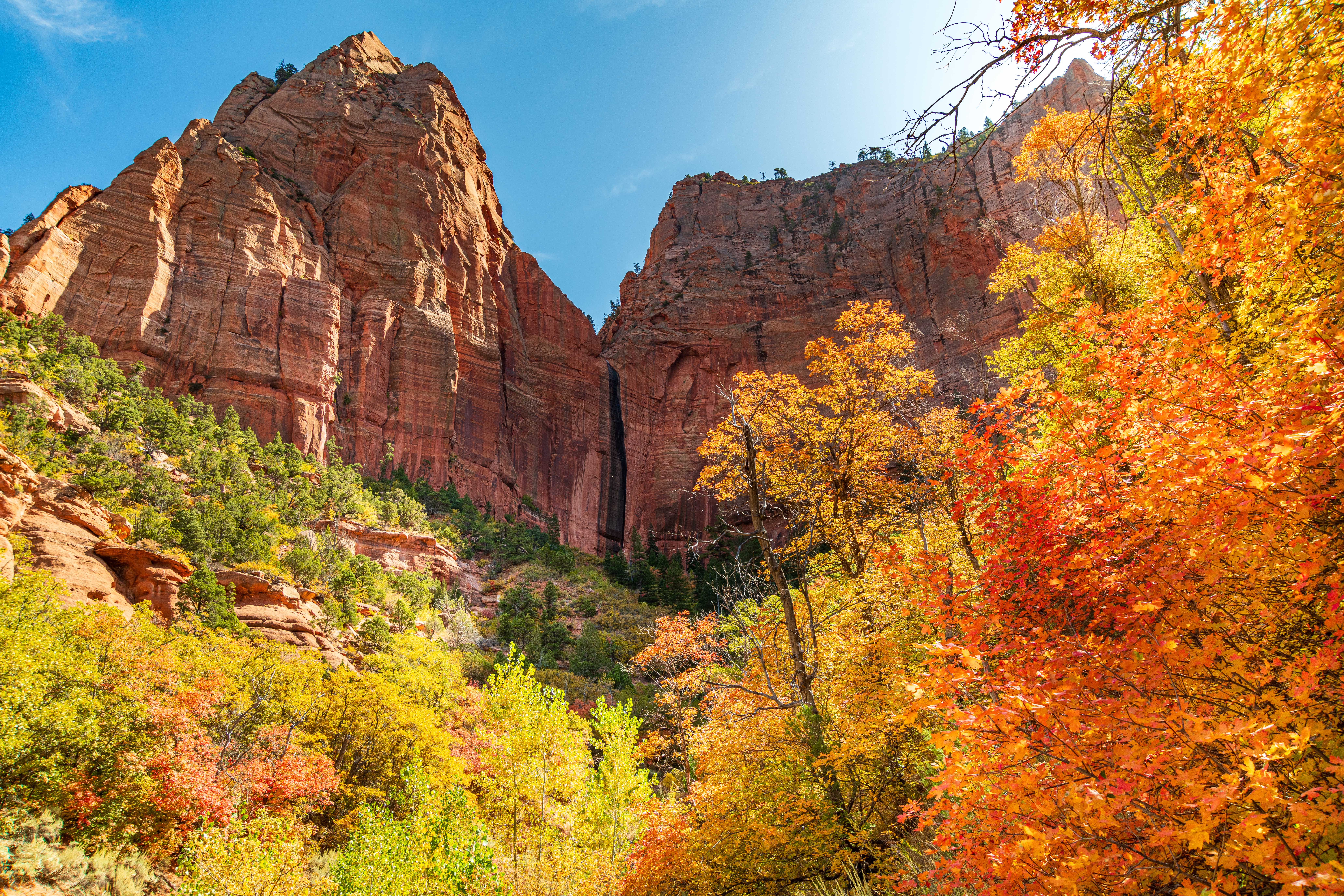 Cozy up to Cedar City: A guide to fall fun and adventure