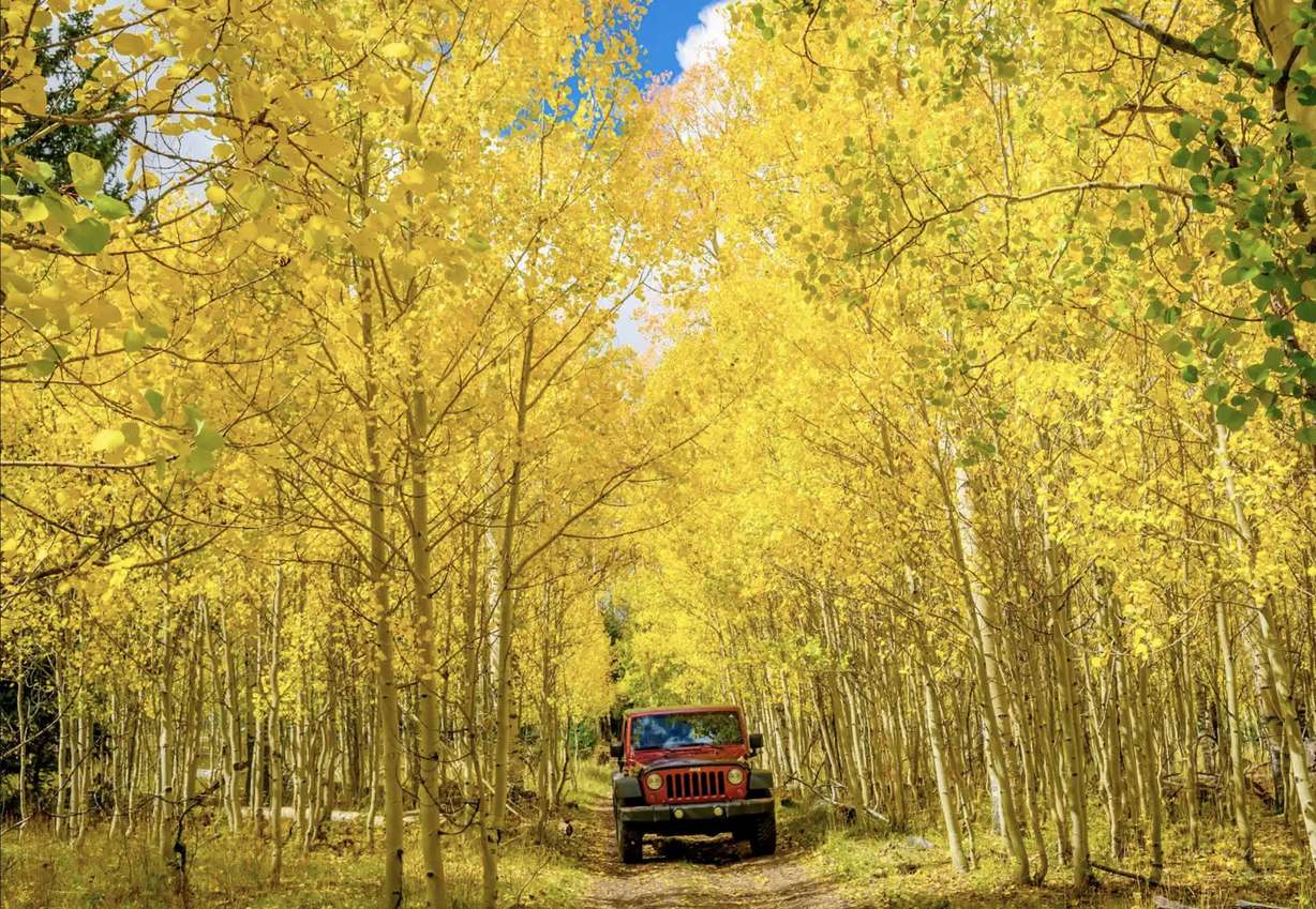 Cozy up to Cedar City: A guide to fall fun and adventure