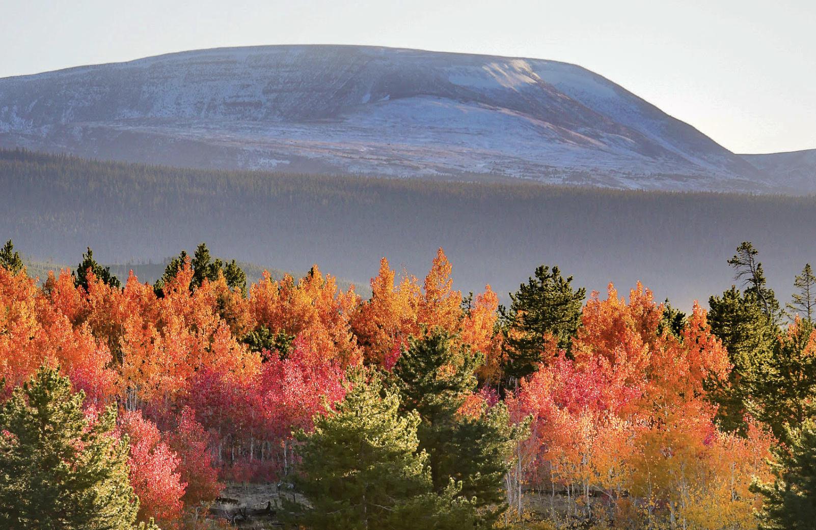 More spectacular fall colors arriving daily in Daggett County and Flaming Gorge