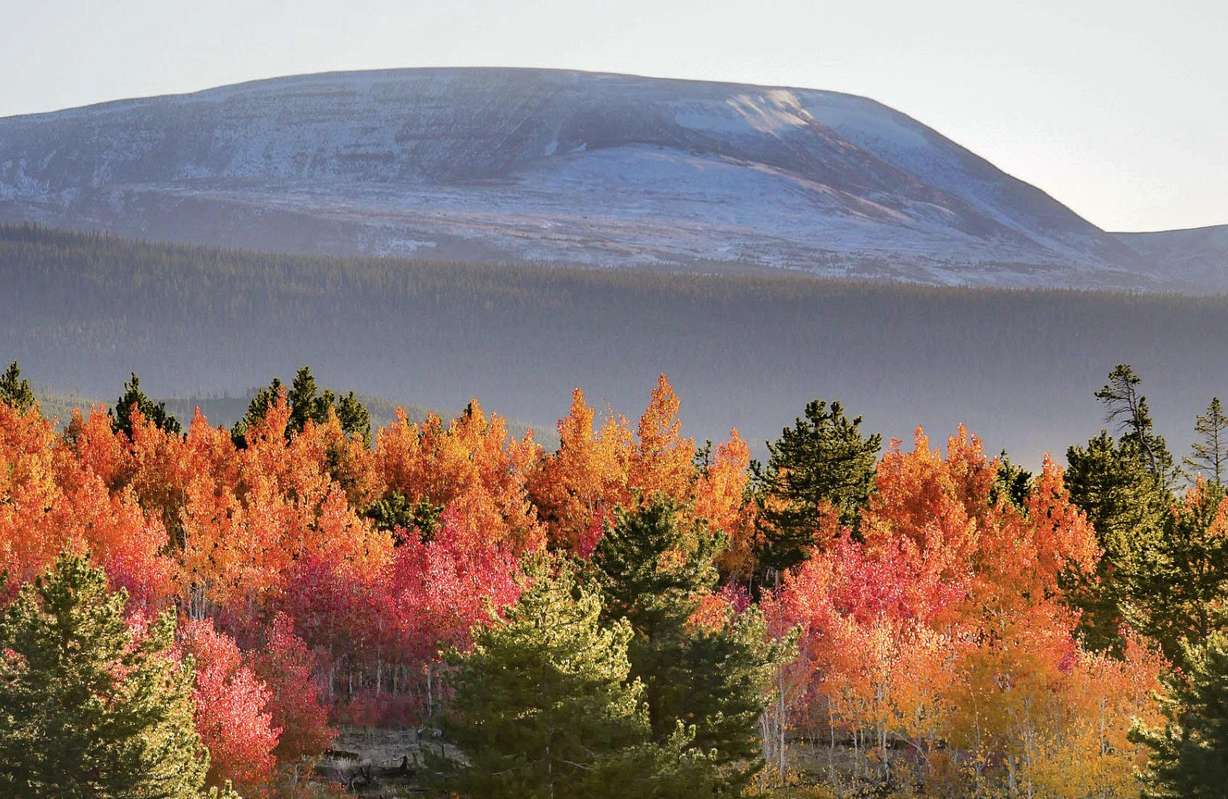 More spectacular fall colors arriving daily in Daggett County and Flaming Gorge