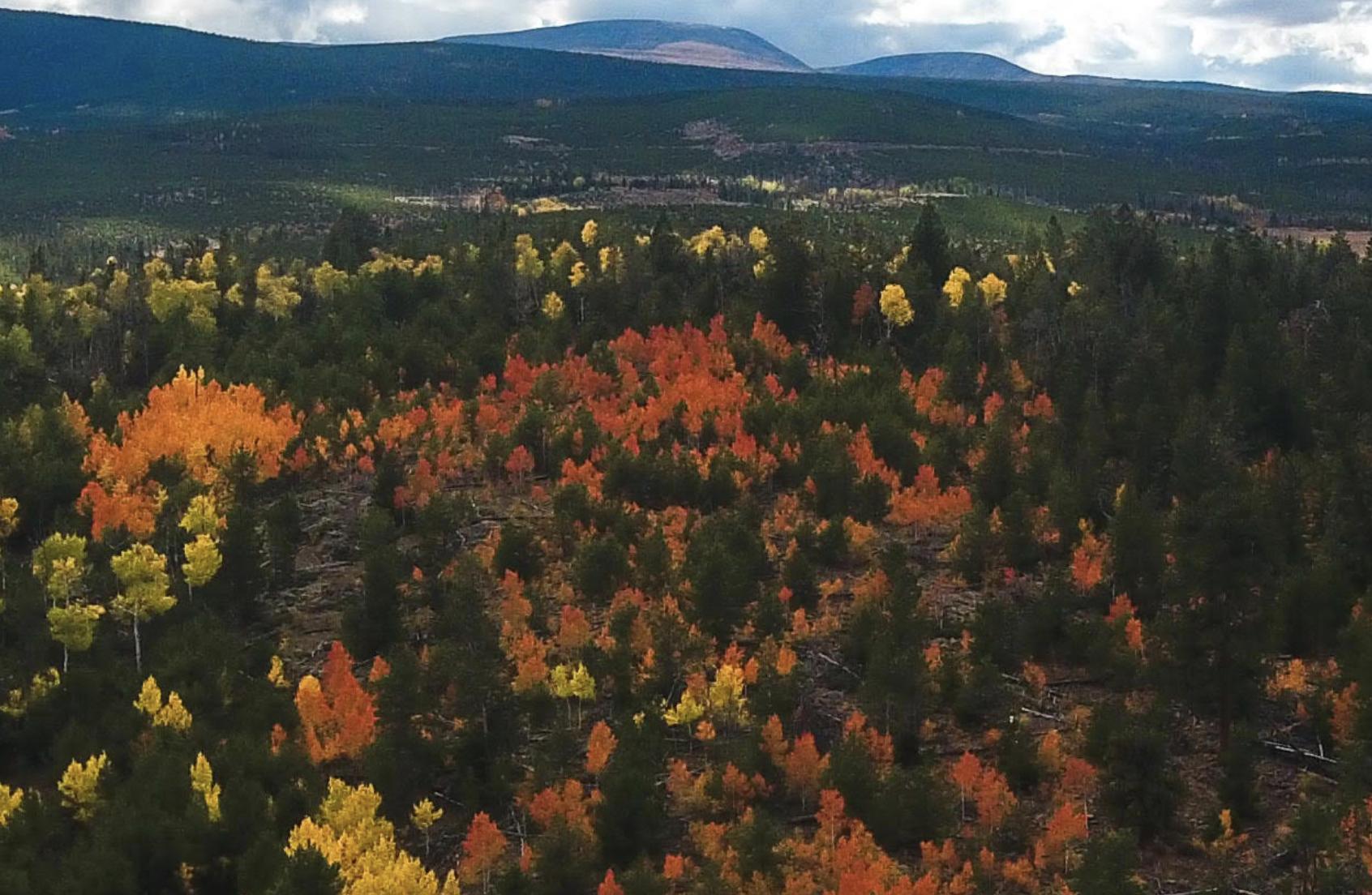 More spectacular fall colors arriving daily in Daggett County and Flaming Gorge