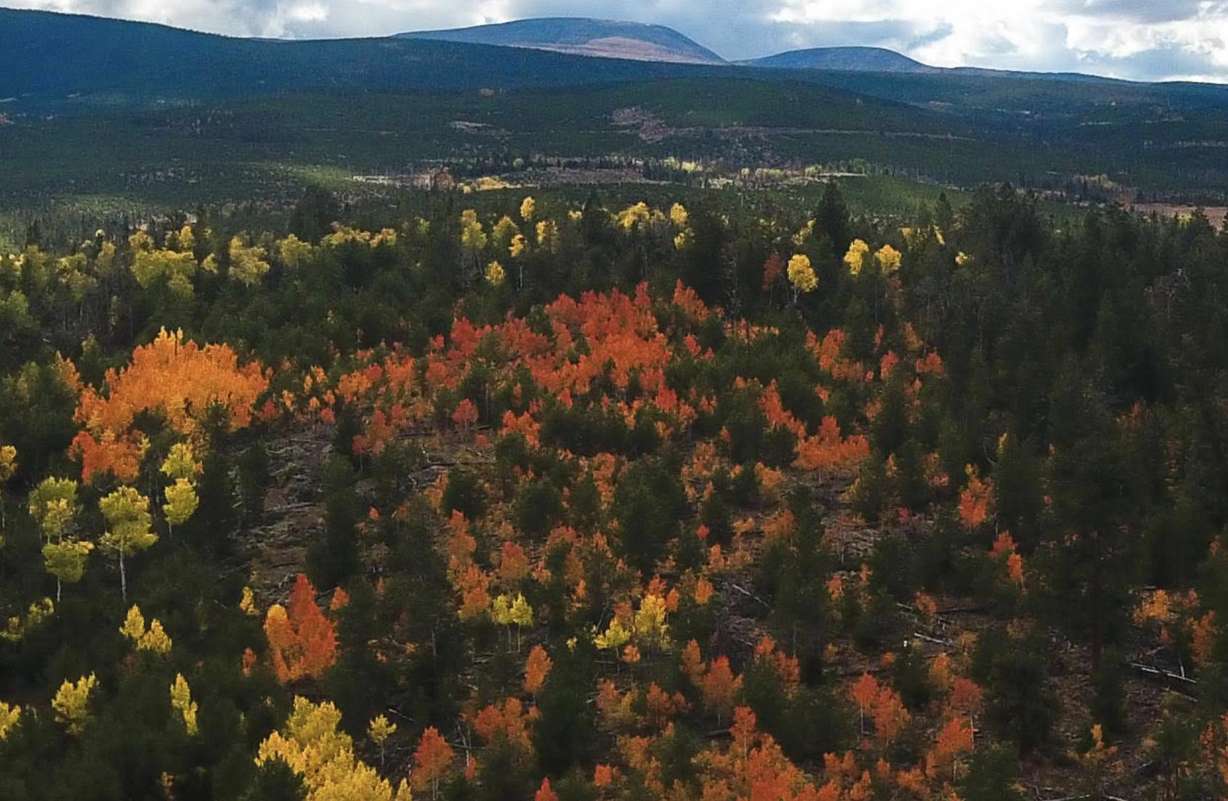 More spectacular fall colors arriving daily in Daggett County and Flaming Gorge