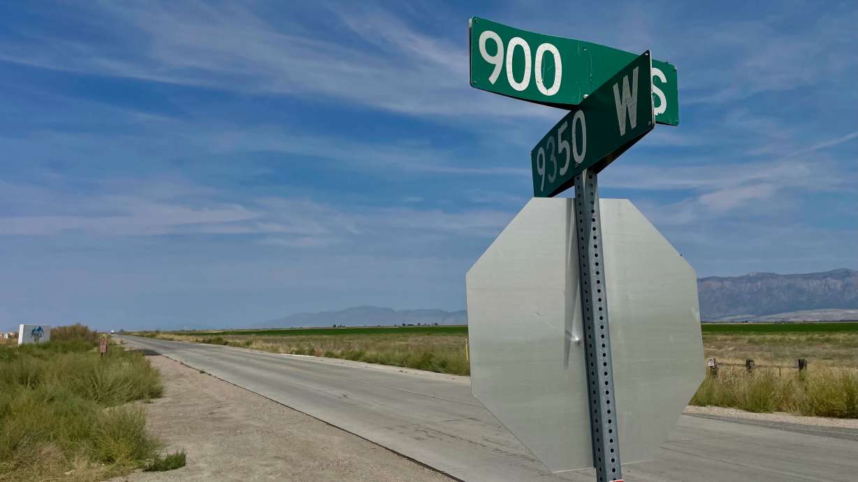 Weber County authorities are looking for additional witnesses during a street car racing event in August that led to the death of an Ogden man.