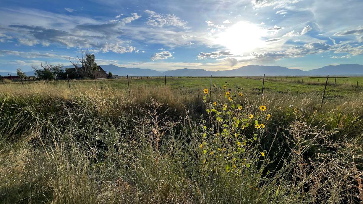 Developers envision a new community on this parcel and adjoining land in western Weber County, pictured Tuesday. Over the long haul, decades, they envision as many as 13,200 housing units that could house 38,000 people.