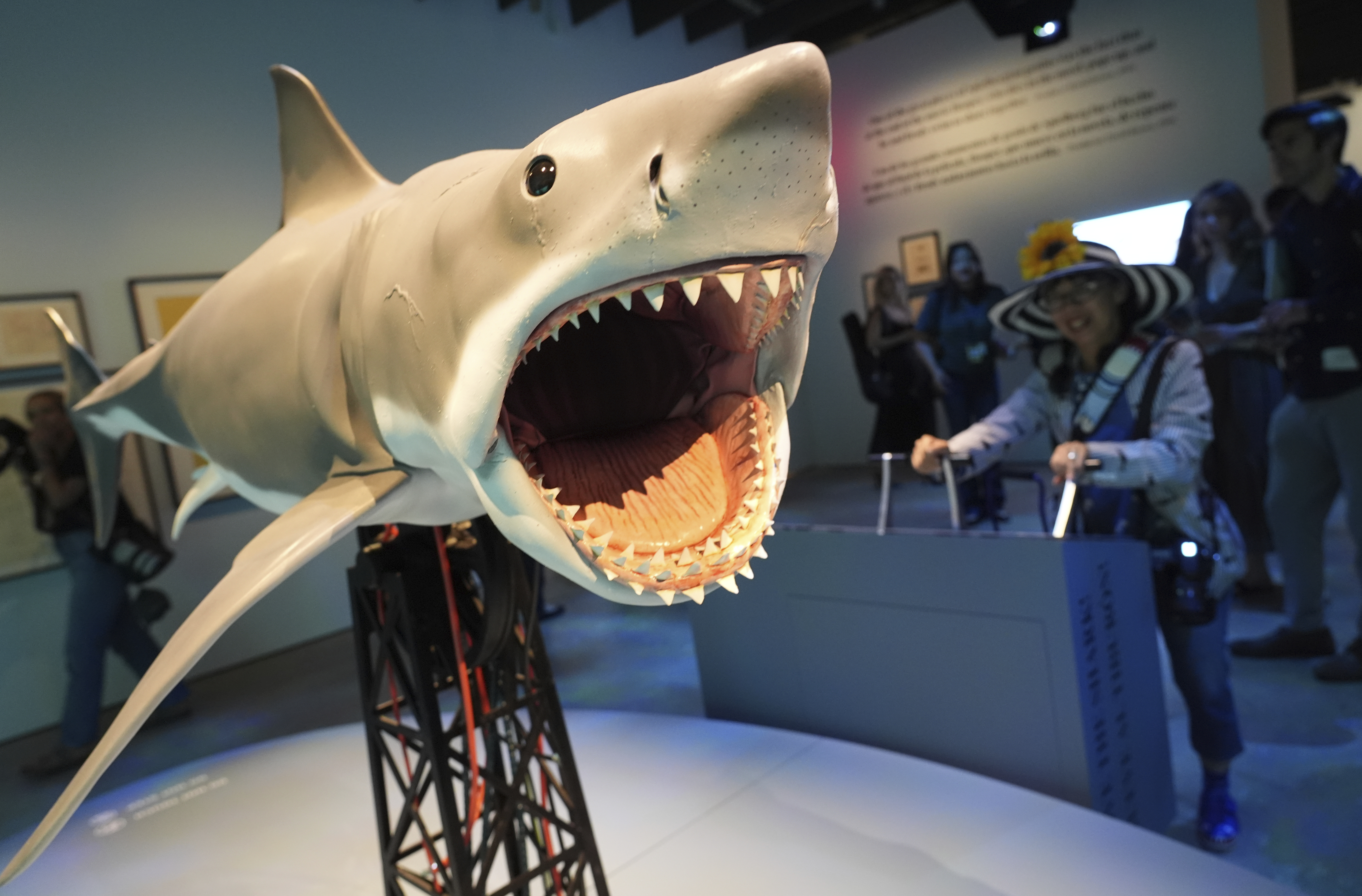 An interactive scale replica based on the shark from the 1975 film "Jaws" is controlled by a visitor during the "Jaws: The Exhibition" press preview on Wednesday at the Academy Museum of Motion Pictures in Los Angeles.
