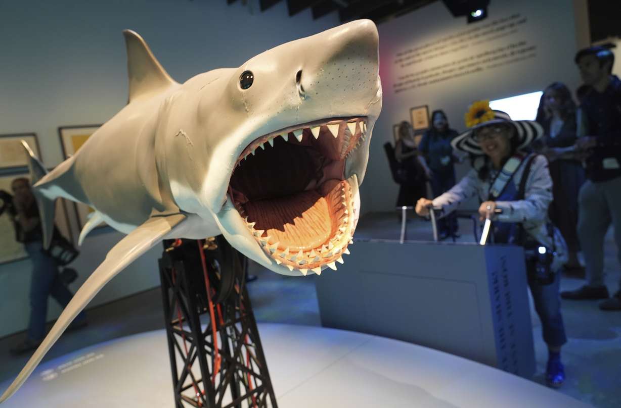 An interactive scale replica based on the shark from the 1975 film "Jaws" is controlled by a visitor during the "Jaws: The Exhibition" press preview on Wednesday at the Academy Museum of Motion Pictures in Los Angeles.