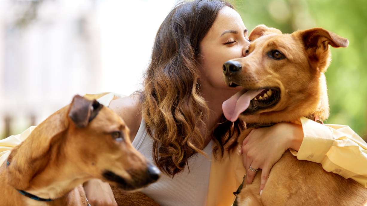 Mark Miller Subaru's Make A Dog's Day celebration on Oct. 18