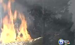 Christmas tree safety tips