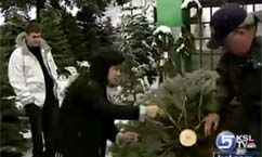 Christmas tree safety tips