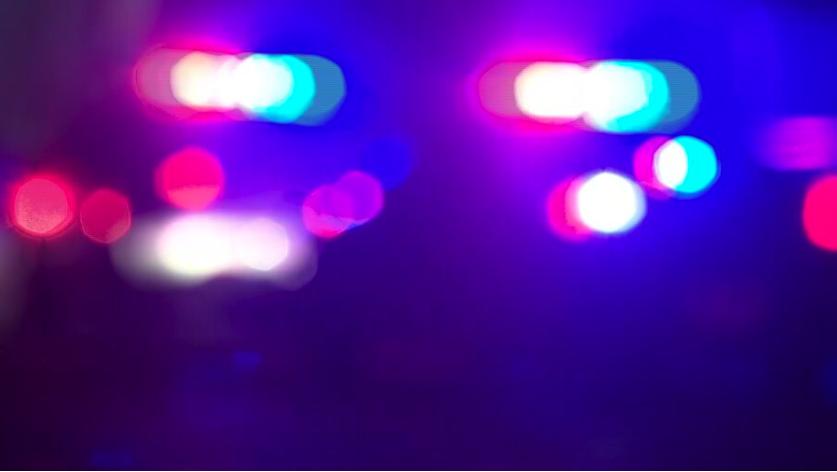 An animal handler was killed by a tiger under his care at a preserve for big cats in southeastern Oklahoma, the organization said Sunday.