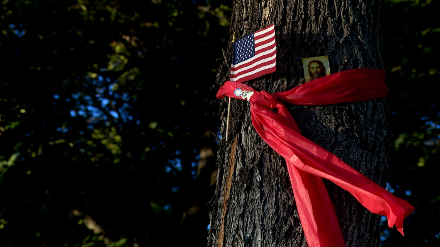 A tree on the campus of Utah Valley University in Orem is pictured on Tuesday. Students return to class on Wednesday following the fatal shooting of Charlie Kirk.