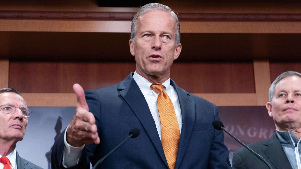 Senate Majority Leader John Thune, R-S.D., speaks during a news conference on Capitol Hill in Washington, Friday.