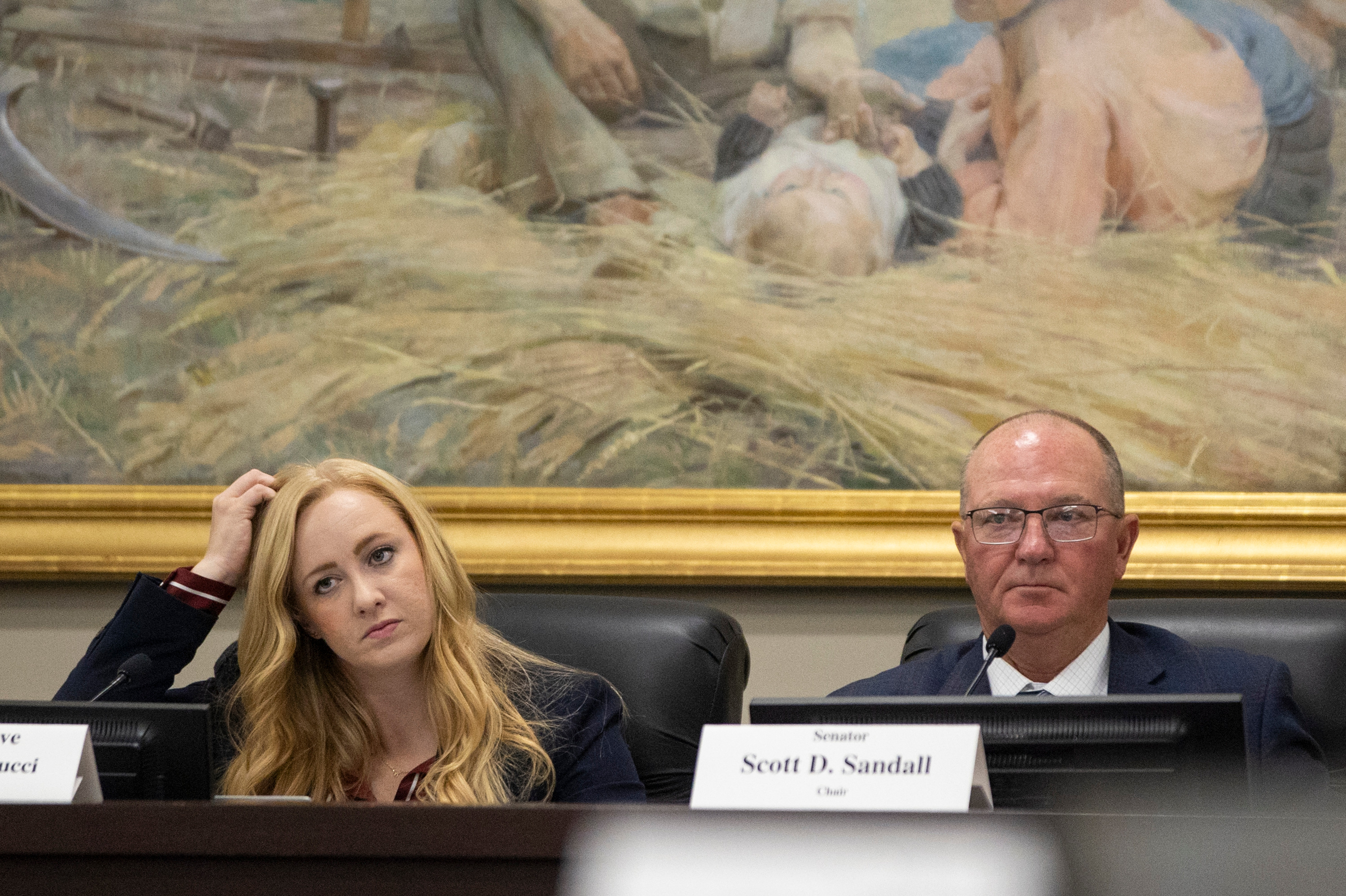 Co-chairs Rep. Candice B. Pierucci, left, and Sen. Scott D. Sandall, right, look on during a Legislative Redistricting Committee meeting at the Capitol in Salt Lake City on Monday.