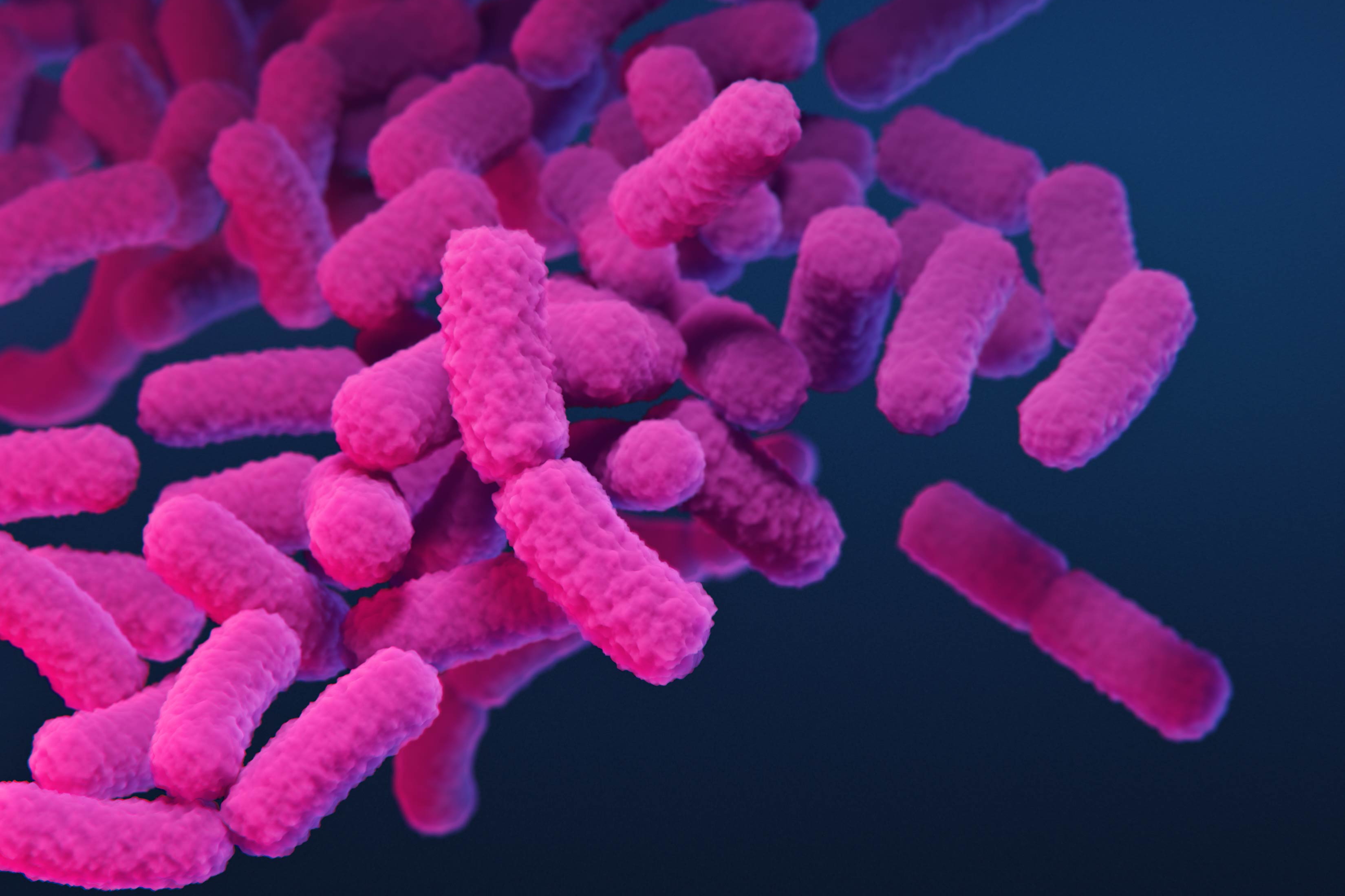 Carbapenem-resistant Enterobacteriaceae bacteria. Research has shown the rate of these infections has increased by 69% from 2019-2023.