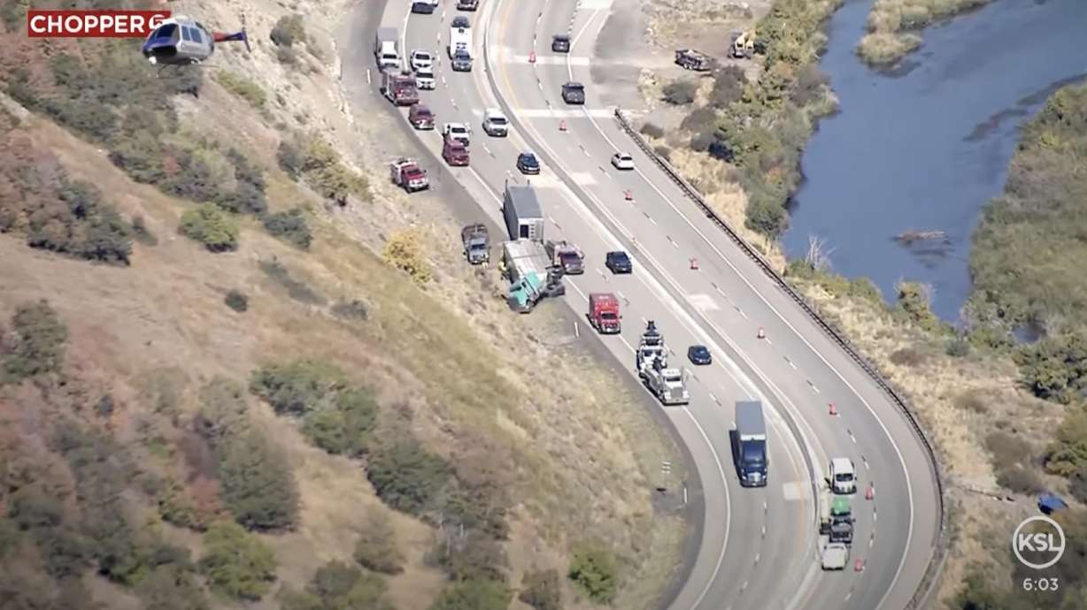 Several sheep were killed when a semitruck hauling the animals crashed on U.S. 189 near East Canyon Road in Provo Canyon on Tuesday.