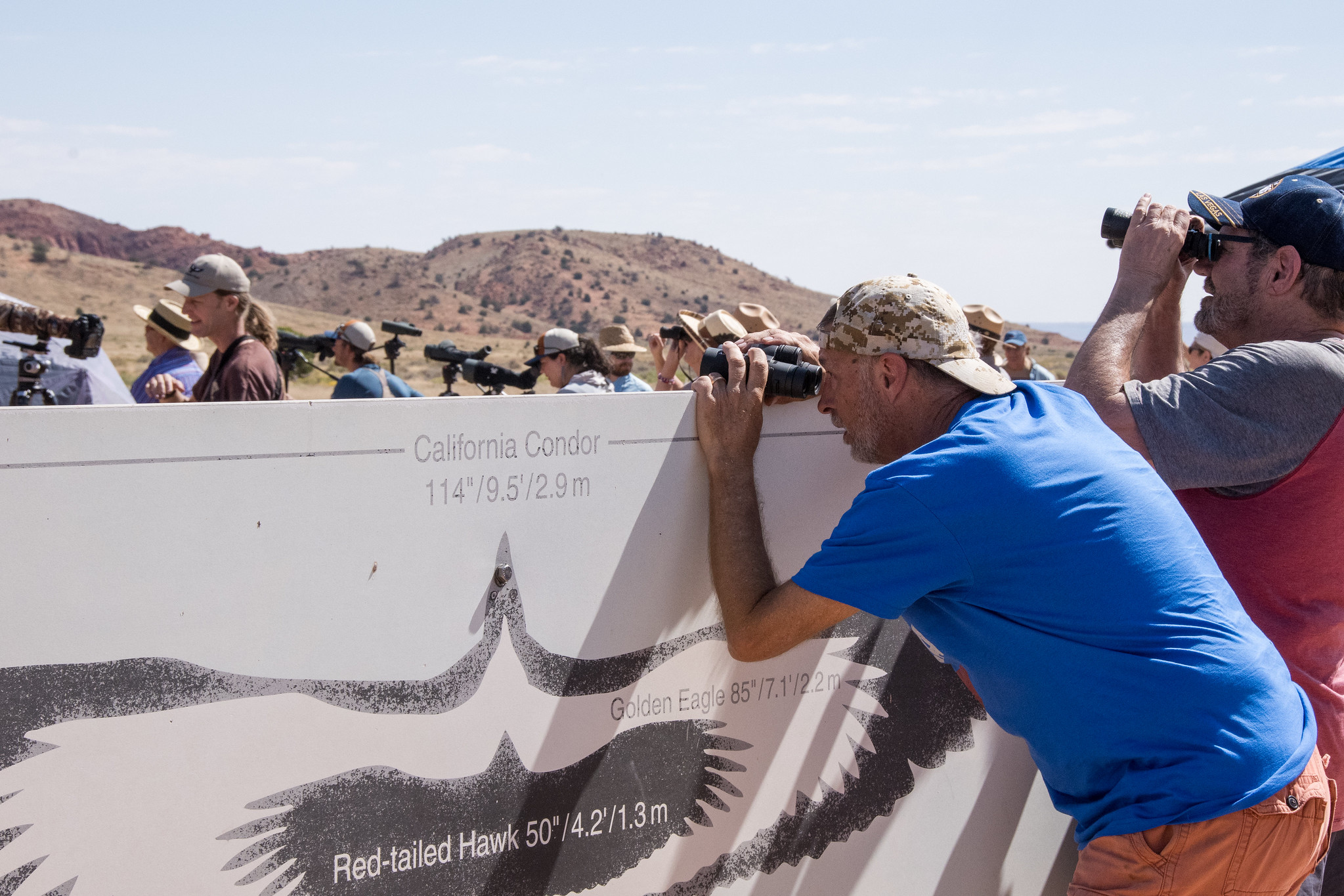 5 more critically endangered condors to be released near Utah. Here's how to watch