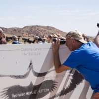 5 more critically endangered condors to be released near Utah. Here's how to watch