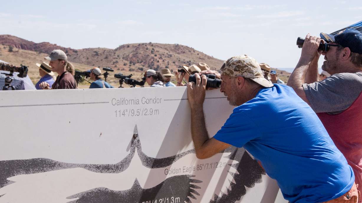 Two men lean against a sign showing bird wingspans at the 28th annual California condor release event at the Vermilion Cliffs National Monument on Sept. 28, 2024. Five more condors are set to be released into the wild this Saturday.