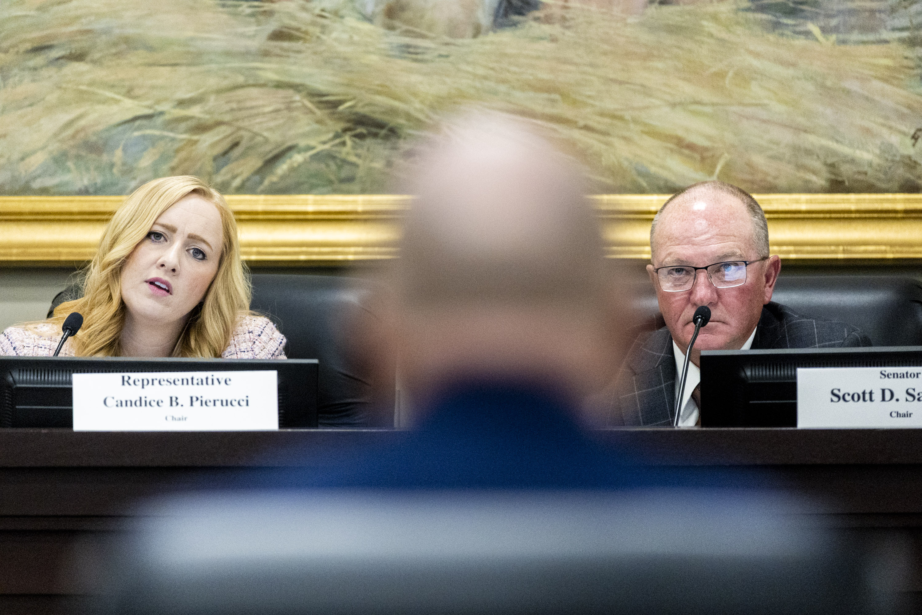 Democrats propose new Utah congressional map during contentious hearing 