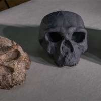 A skull unearthed in China challenges the timeline of human evolution, scientists say