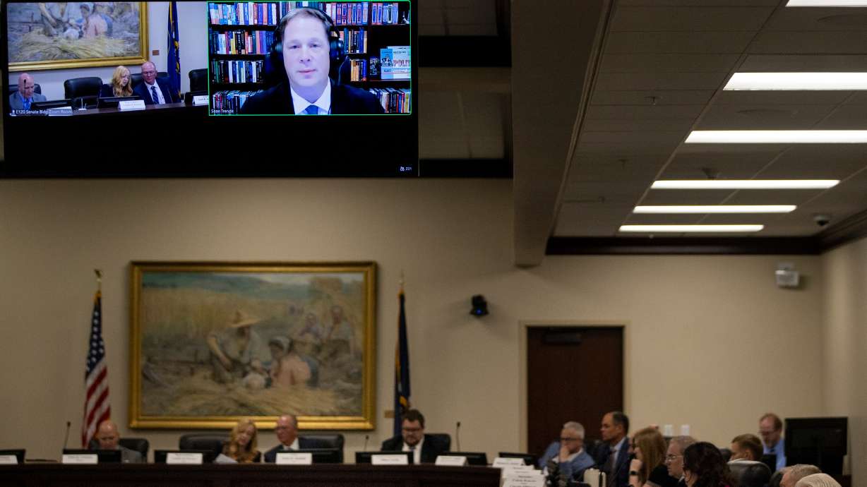 Consulting districting expert Sean Trende calls in to give a presentation on redistricting methodologies and proposed maps during a Legislative Redistricting Committee meeting at the Capitol in Salt Lake City on Monday.