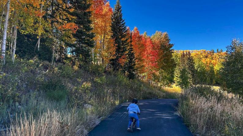 Where to see fall colors in southern Utah right now