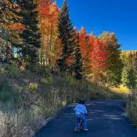 Where to see fall colors in southern Utah right now
