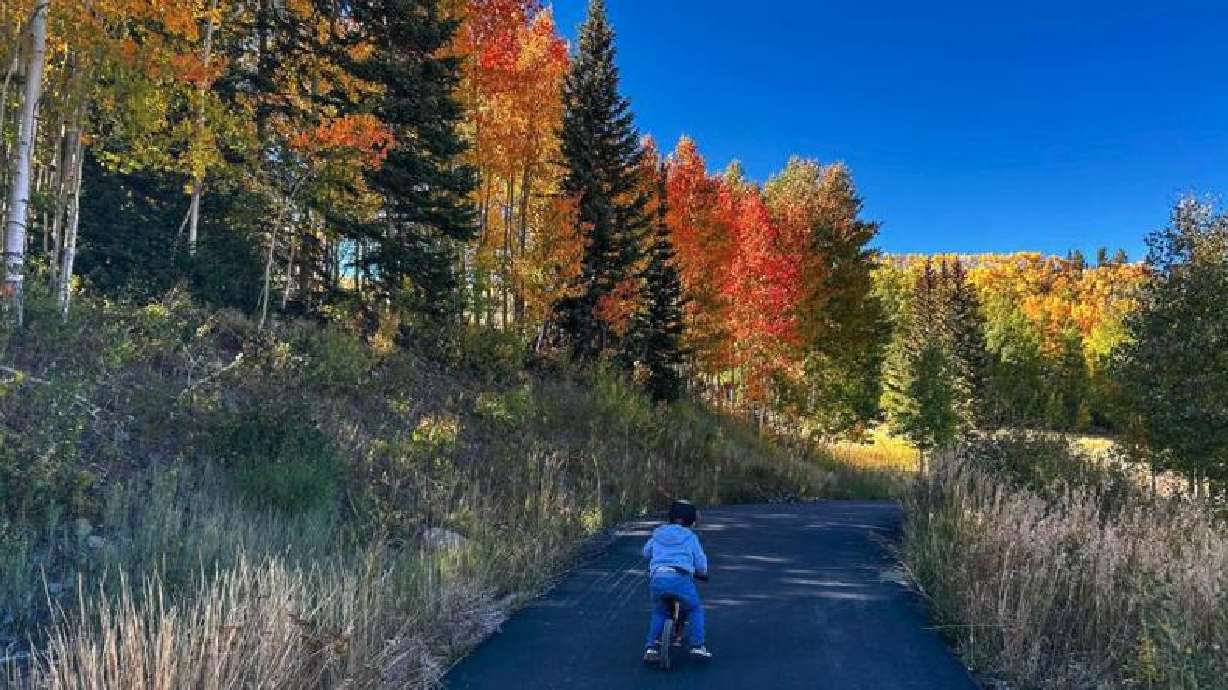 A boy rides his bike on the Brian Head Town Trail, Brian Head, Tuesday.