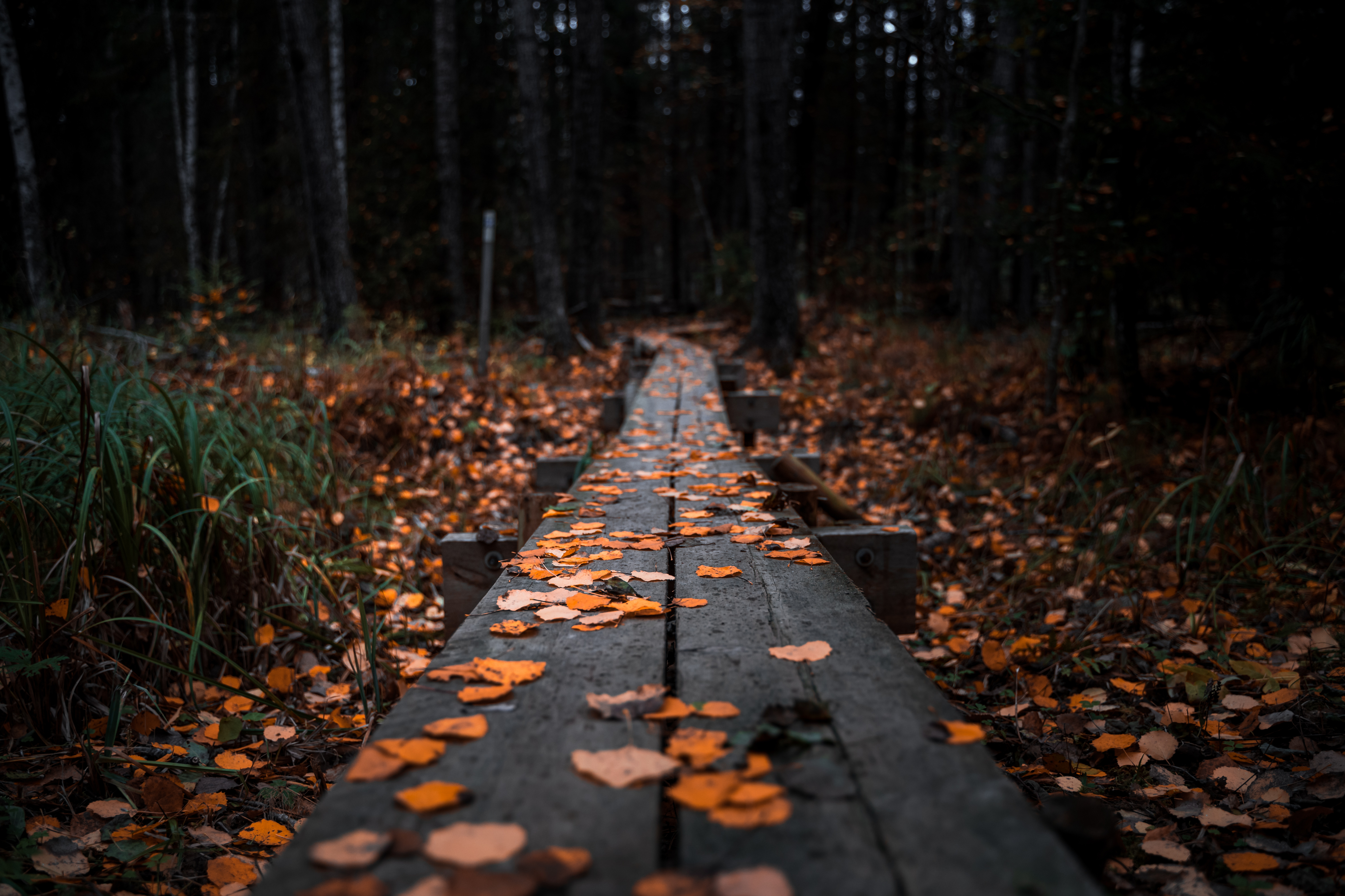 Embracing the harvest season with unique activites in Utah