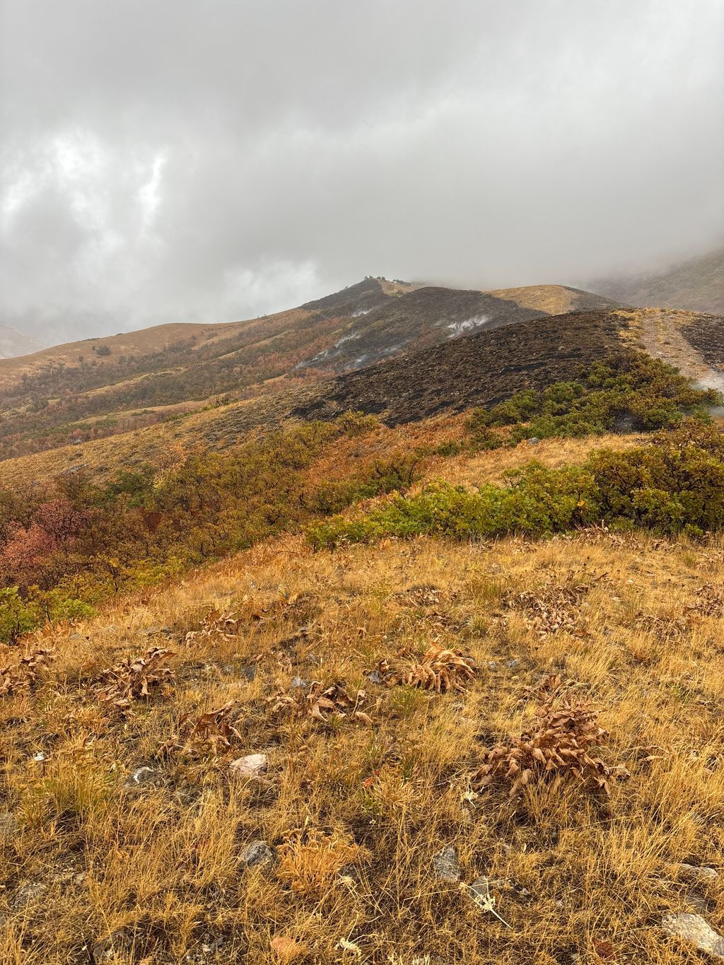 Fire burning in 'rough terrain' north of University of Utah