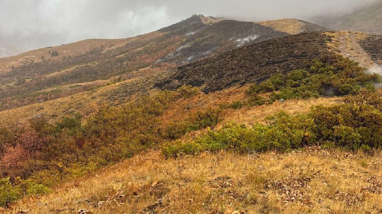 A wildfire burns on the mountainside north of the University of Utah on Tuesday. The blaze sparked in the early morning hours, officials from Utah Fire Info say, but a cause had not been determined as of Tuesday afternoon.