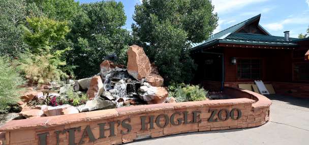 'A rare occurence': Hogle Zoo achieves perfect score from Association of Zoos and Aquariums