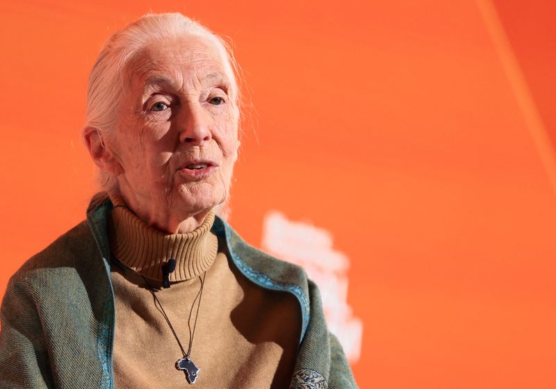 Jane Goodall speaks during the annual Bloomberg Philanthropies Global Forum in Manhattan, New York City, Sept. 24.