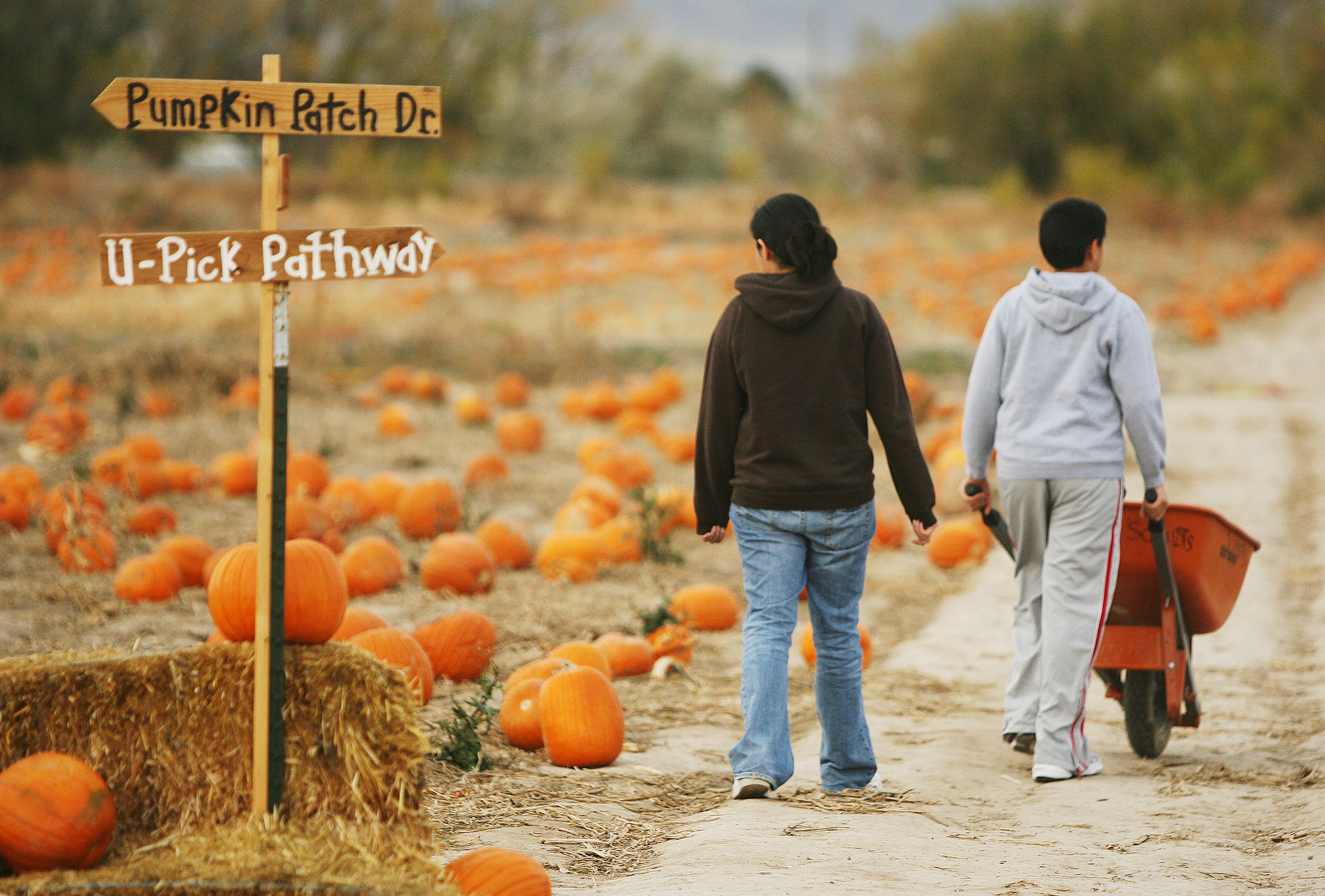Utah Halloween Map 2025: Haunted houses, pumpkin patches and lights near you