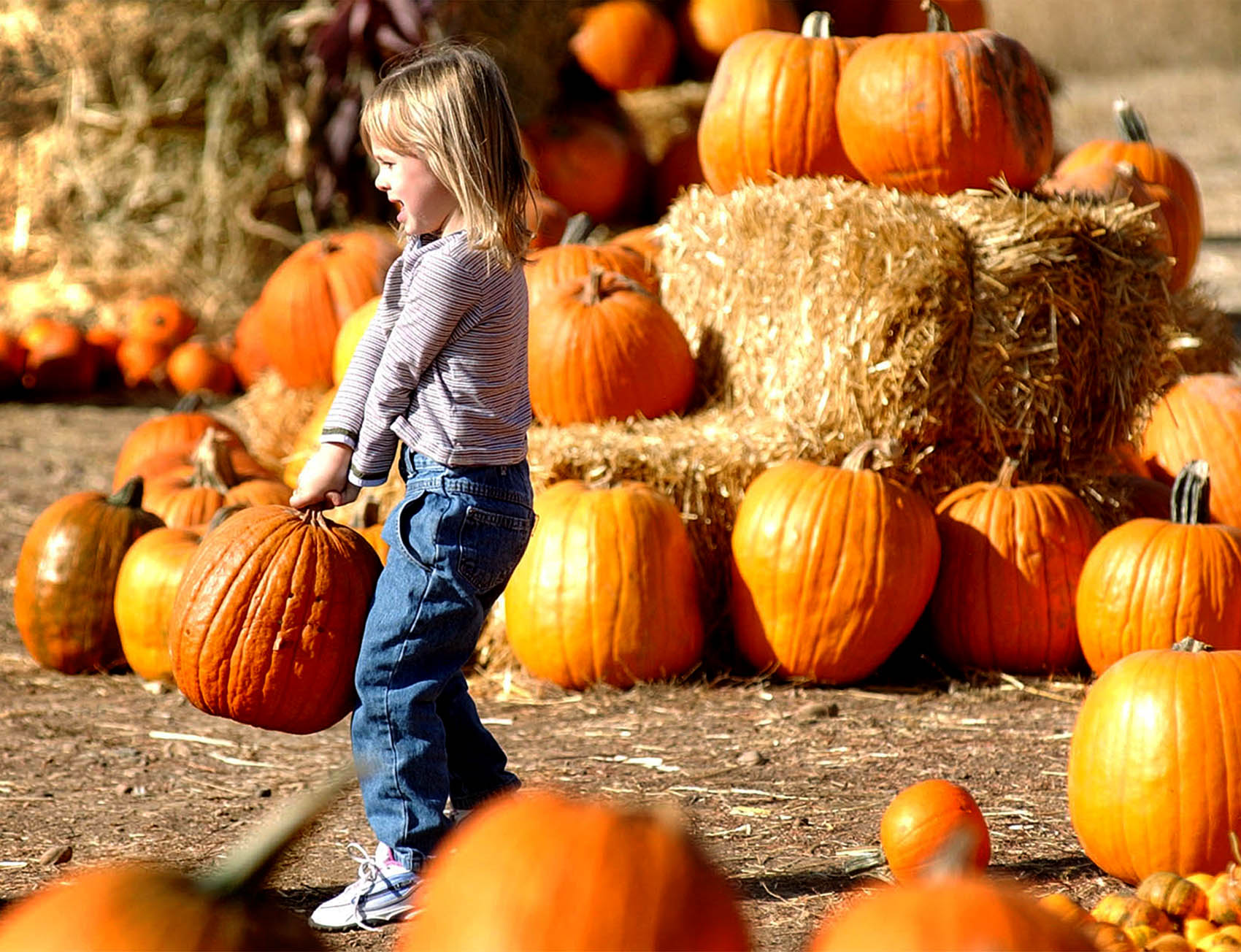 Delight in some Utah fall events and Halloween fun
