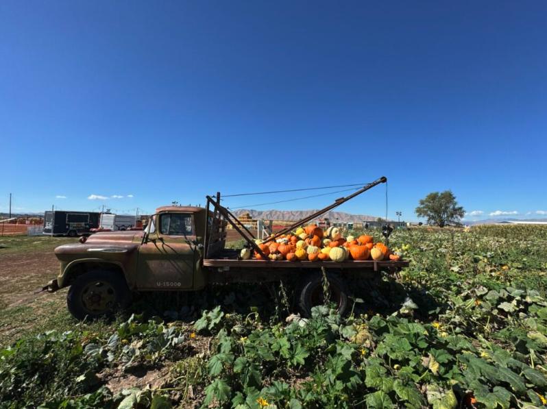 Utah County farm finds sustainability through corn maze attraction