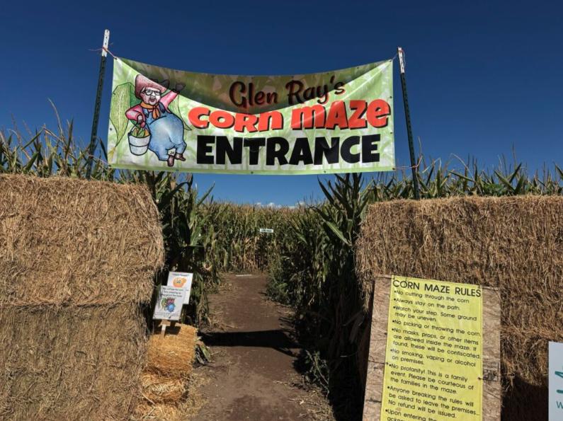 Glen Ray’s Corn Maze and Pumpkin Patch is seen on Wednesday. The corn maze, which is currently open Monday through Saturday, has helped the family farm find sustainability and profitability.