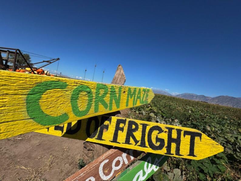 Glen Ray’s Corn Maze and Pumpkin Patch is seen on Wednesday. The corn maze, which is currently open Monday through Saturday, has helped the family farm find sustainability and profitability.