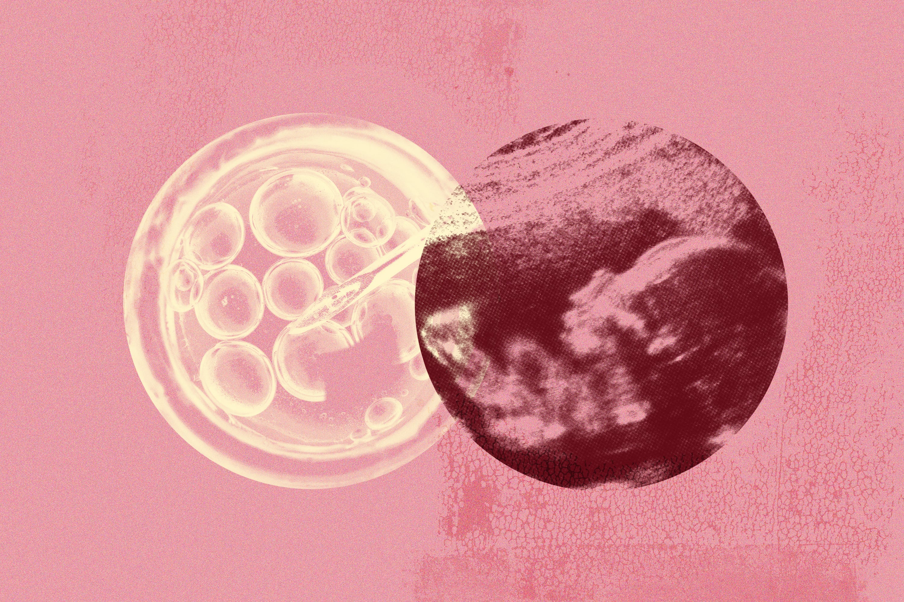 A new report says that the falling fertility rate in Utah — a drop of 45.5% in the last 50 years — is a result of shifting marriage and family trends.