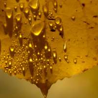 Utah's water year leaves many worried — but there is hope