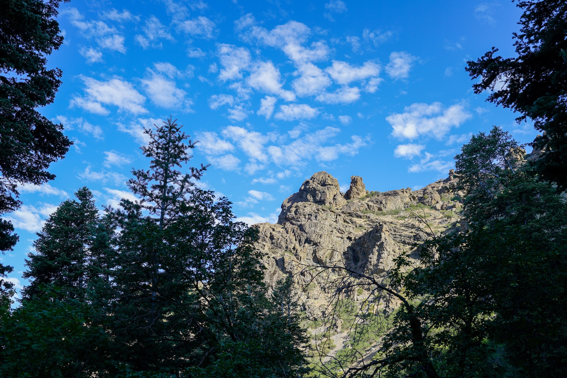 Body found in Adams Canyon believed to be missing Kaysville man