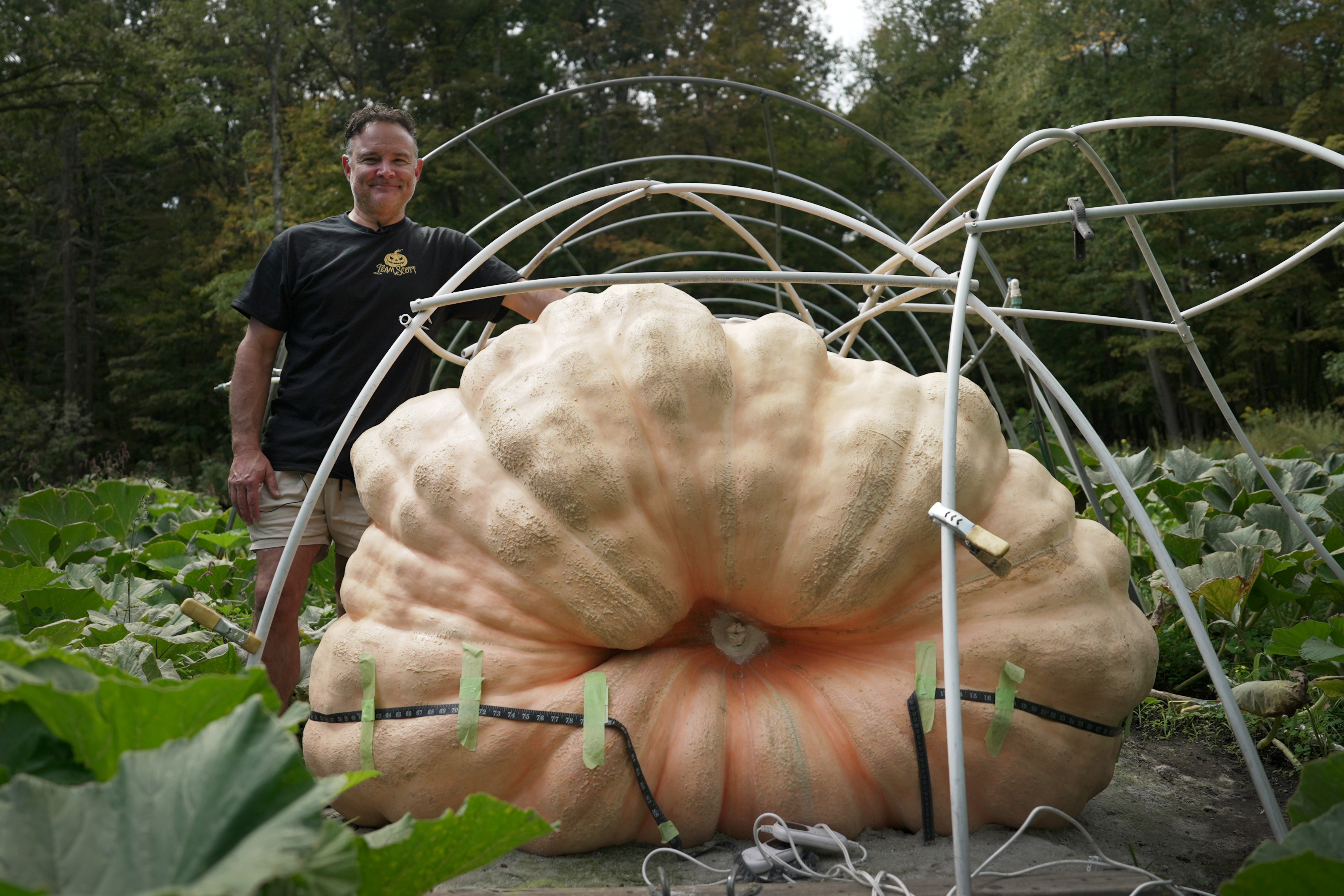 Tony Scott stands with the pumpkin he grew in his Wappingers Falls, N.Y., backyard on Sept. 17. Growing a pumpkin this big normally comes down to the help of science.