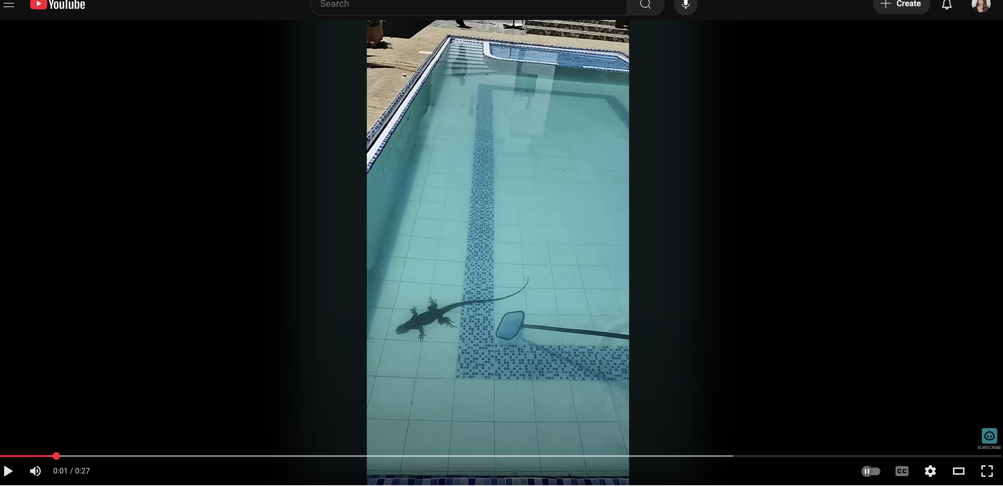 Maybe days like this are actually fun for a pool cleaner. You spend so much time dealing with soggy hornets that it could be an exciting challenge to pursue a giant lizard.