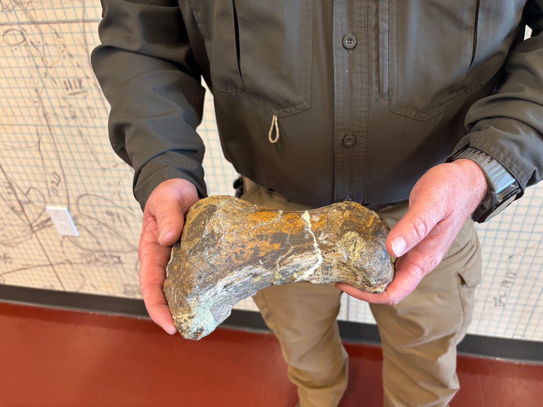 Utahraptor State Park manager Brad Walker shows off a bone that once belonged to a Moabosaurus. Walker desires for everyone to experience the wonders he gets to see every day.